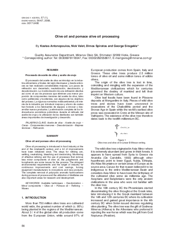 (PDF) Olive oil and pomace olive oil processing
