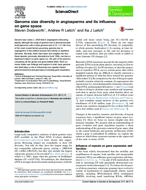 (PDF) Genome size diversity in angiosperms and its influence on gene space