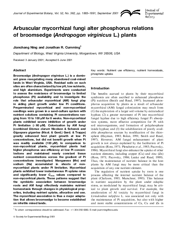 (PDF) Arbuscular mycorrhizal fungi alter phosphorus relations of
