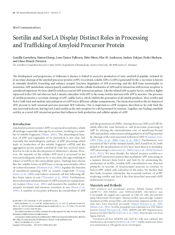 (PDF) Sortilin and SorLA display distinct roles in processing and ...