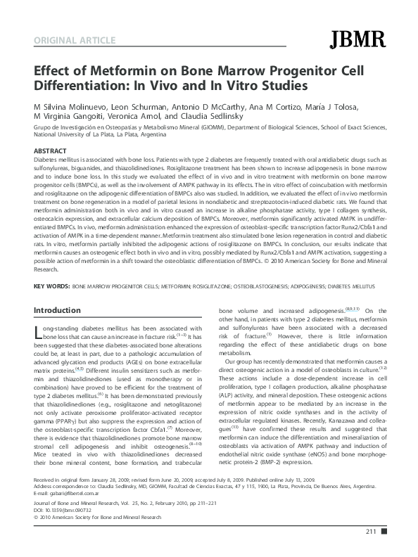 Metformin research paper picture