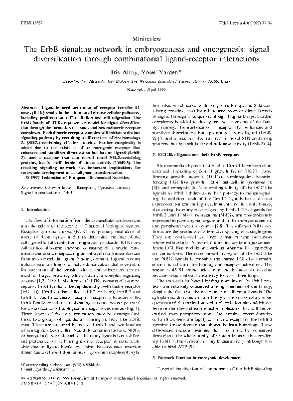 (PDF) The ErbB signaling network in embryogenesis and oncogenesis ...
