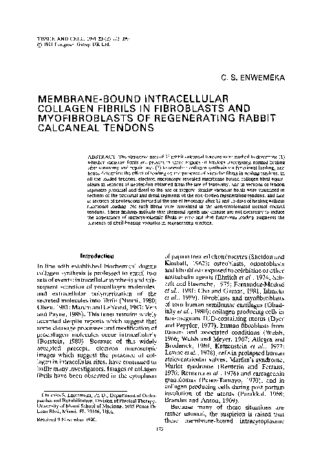 (PDF) Membrane-bound intracellular collagen fibrils in fibroblasts and ...