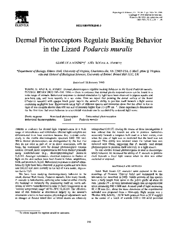 (PDF) Dermal photoreceptors regulate basking behavior in the lizard ...