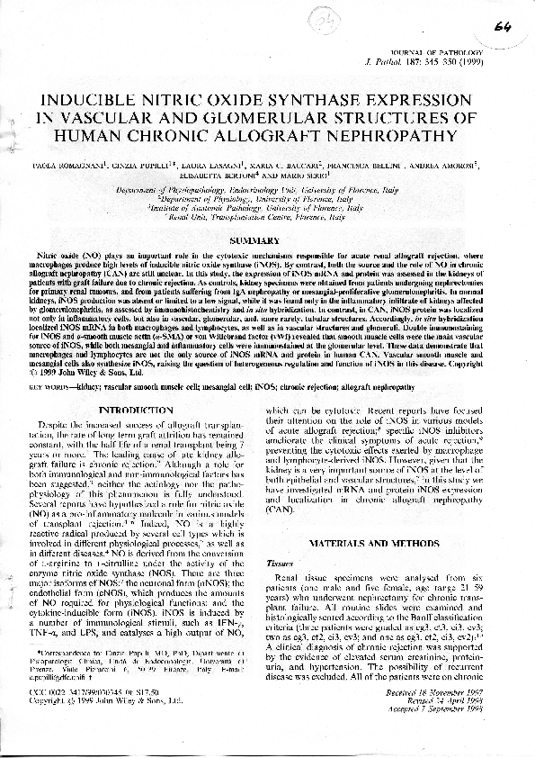 (PDF) Inducible nitric oxide synthase expression in chronic viral ...