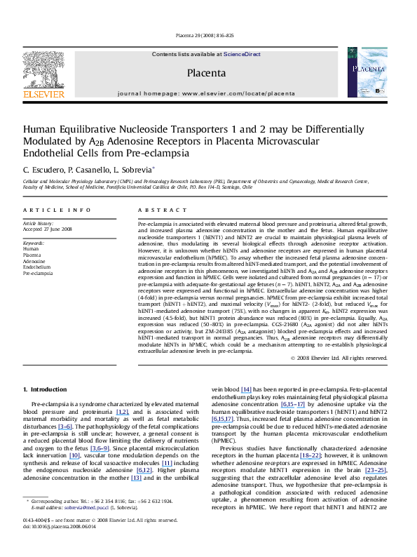 (PDF) Human Equilibrative Nucleoside Transporters 1 and 2 may be ...