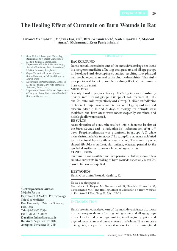 Burn wounds essay image