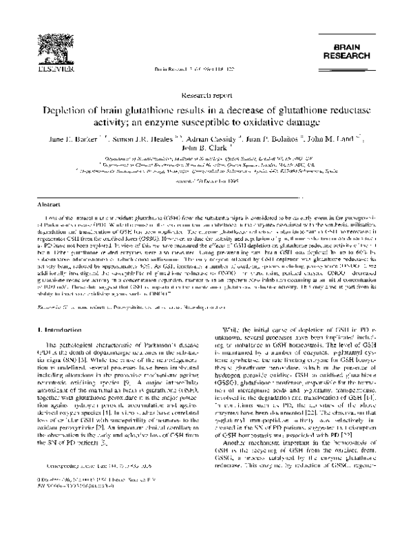 PDF) Depletion of brain glutathione results in a decrease of glutathione reductase activity; an enzyme susceptible to oxidative damage