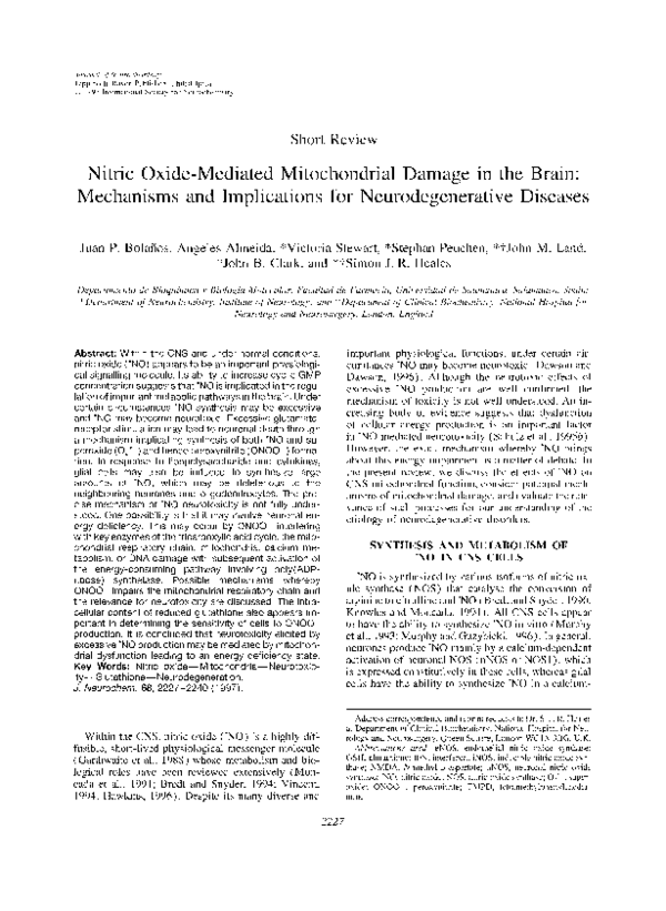 (PDF) Nitric OxideMediated Mitochondrial Damage in the Brain
