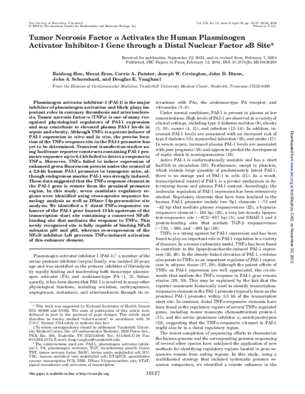 (PDF) Tumor Necrosis Factor Activates the Human Plasminogen Activator ...