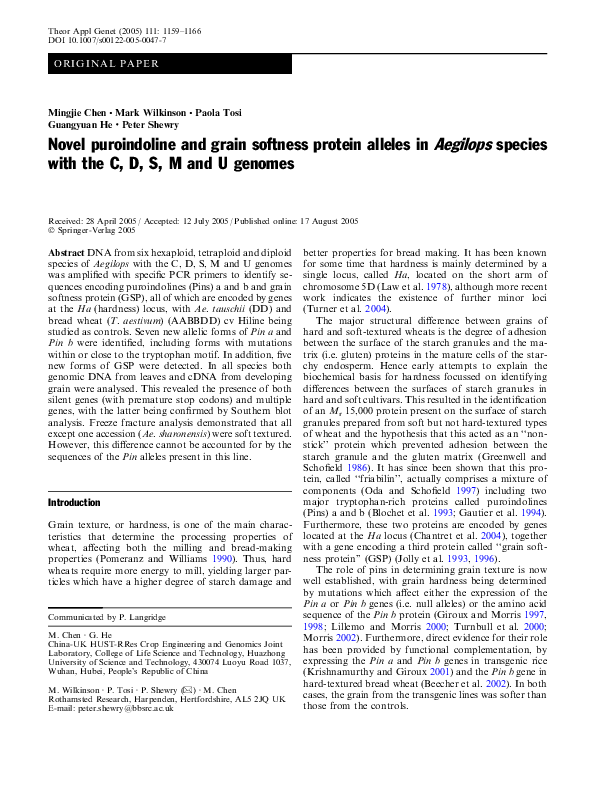 (PDF) Novel puroindoline and grain softness protein alleles in Aegilops ...