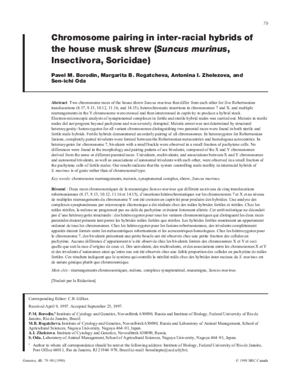 (PDF) Chromosome pairing in inter-racial hybrids of the house musk ...
