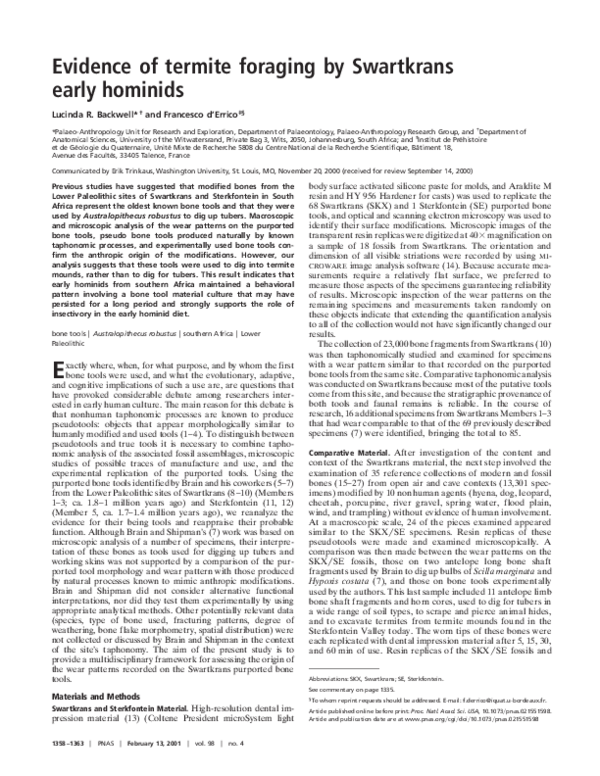 (PDF) From the Cover: Evidence of termite foraging by Swartkrans early ...