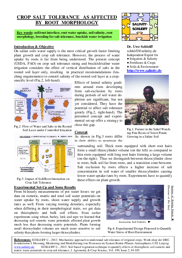 (PDF) Crop Salt Tolerance as Affected by Root Morphology