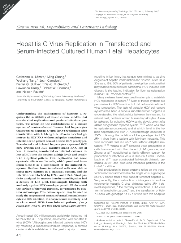 (PDF) Hepatitis C Virus Replication in Transfected and Serum-Infected ...