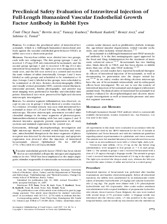 Examples of evaluation essays image