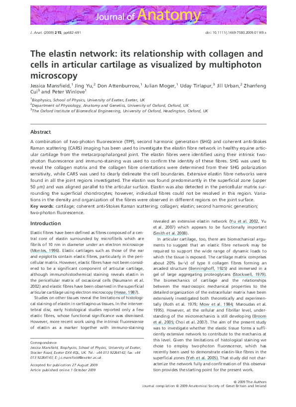 (PDF) The elastin network: its relationship with collagen and cells in ...