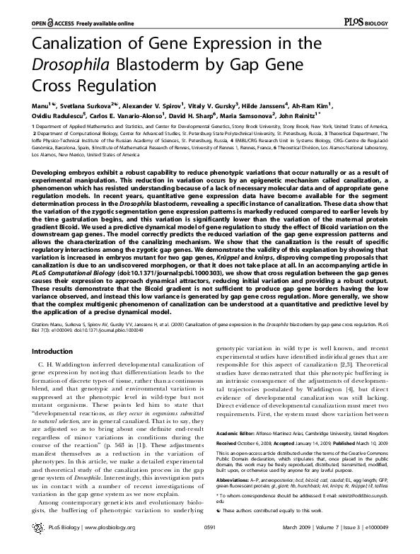 (PDF) Canalization of Gene Expression in the Drosophila Blastoderm by ...
