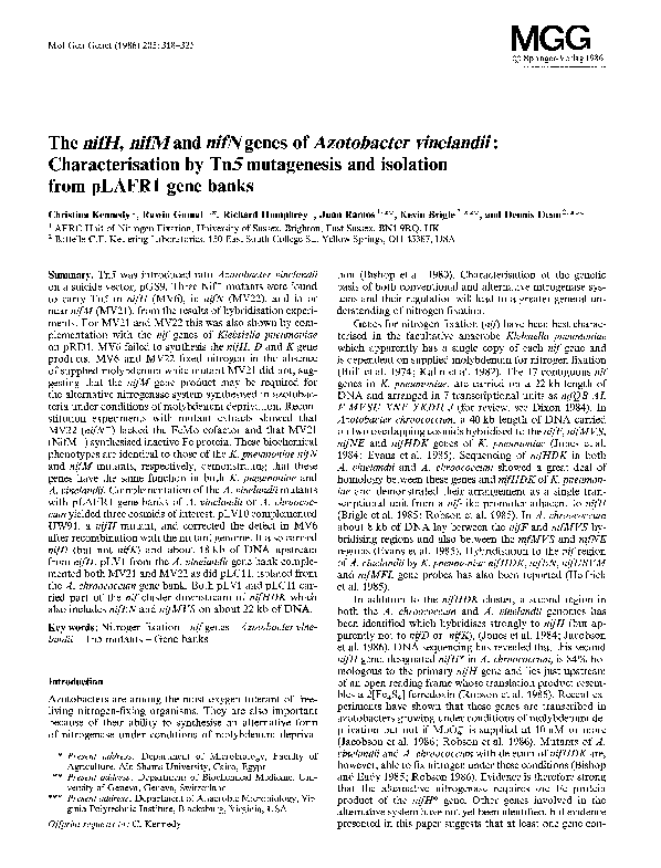 (PDF) The nifH, nifM and nifN genes of Azotobacter vinelandii ...