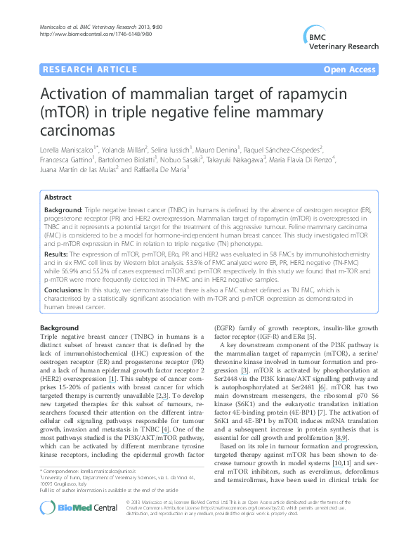 (PDF) Activation of the Mammalian Target of Rapamycin (mTOR) Is ...