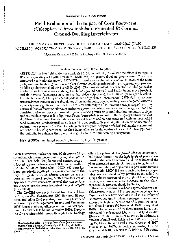 Impacts of bt corn image