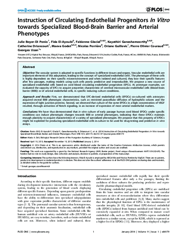 (PDF) Instruction of Circulating Endothelial Progenitors In Vitro ...