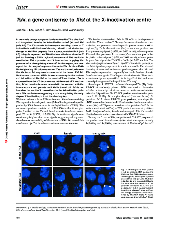 (PDF) Tsix, a gene antisense to Xist at the X-inactivation centre