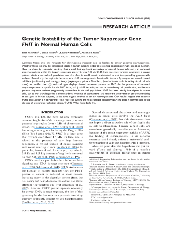 (PDF) Genetic instability of the tumor suppressor gene FHIT in normal ...