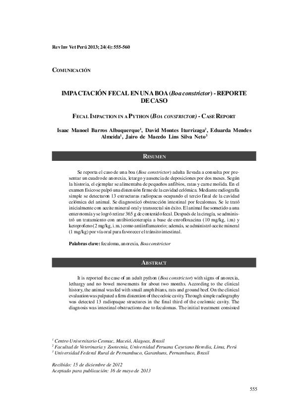 David boas thesis 06 picture