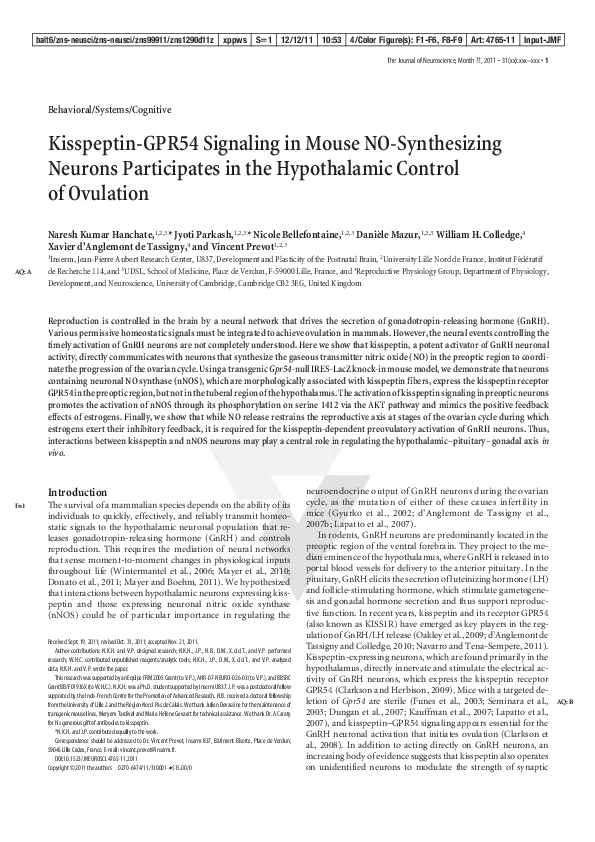 (PDF) Kisspeptin-GPR54 Signaling in Mouse NO-Synthesizing Neurons ...