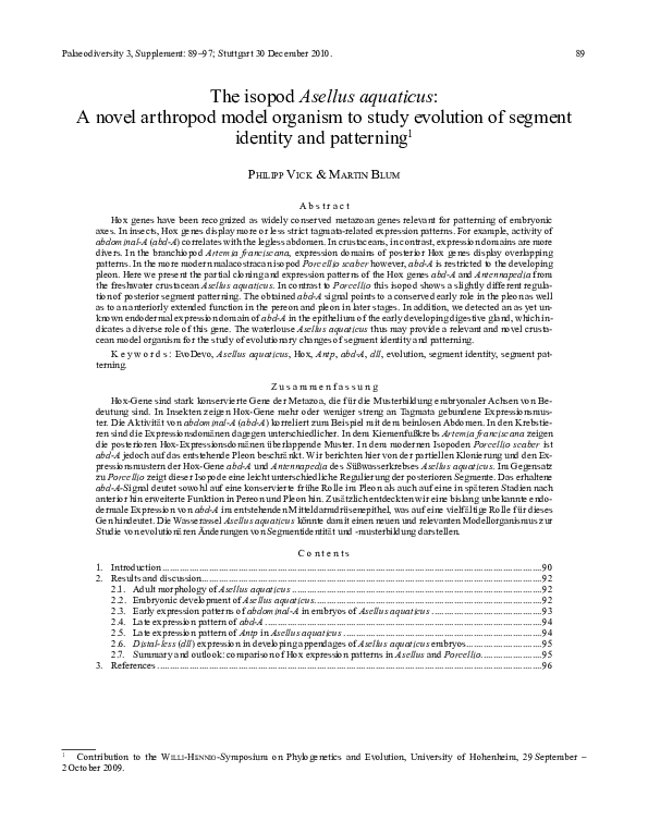 Isopod essay example 08 picture
