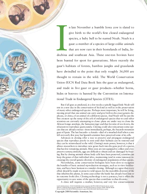 Cloning research paper outline picture