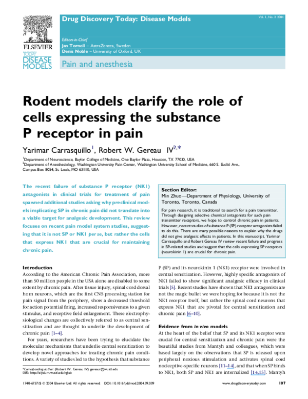 (PDF) Rodent models clarify the role of cells expressing the substance ...