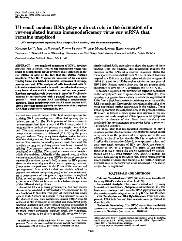 (PDF) U1 Small Nuclear RNA Plays a Direct Role in the Formation of a ...