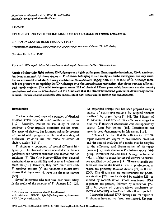 (PDF) Repair of ultraviolet-light-induced DNA damage in Vibrio cholerae