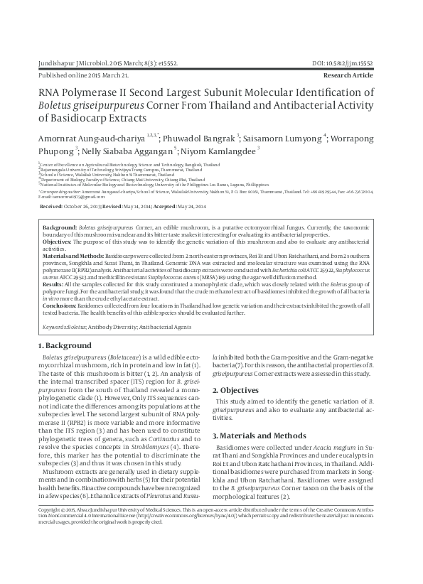 Bhaskaracharya invention picture