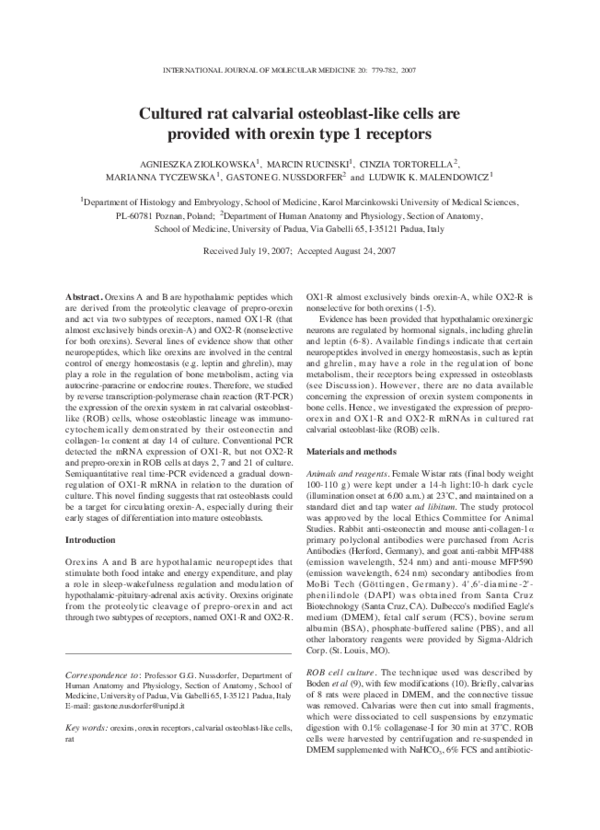 (PDF) Cultured rat calvarial osteoblast-like cells are provided with ...