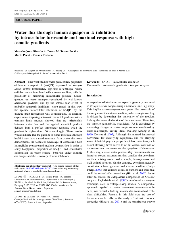 Aquaporin tetramer picture