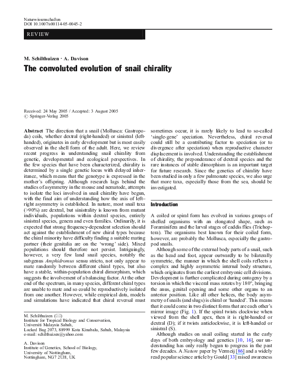 (PDF) The convoluted evolution of snail chirality