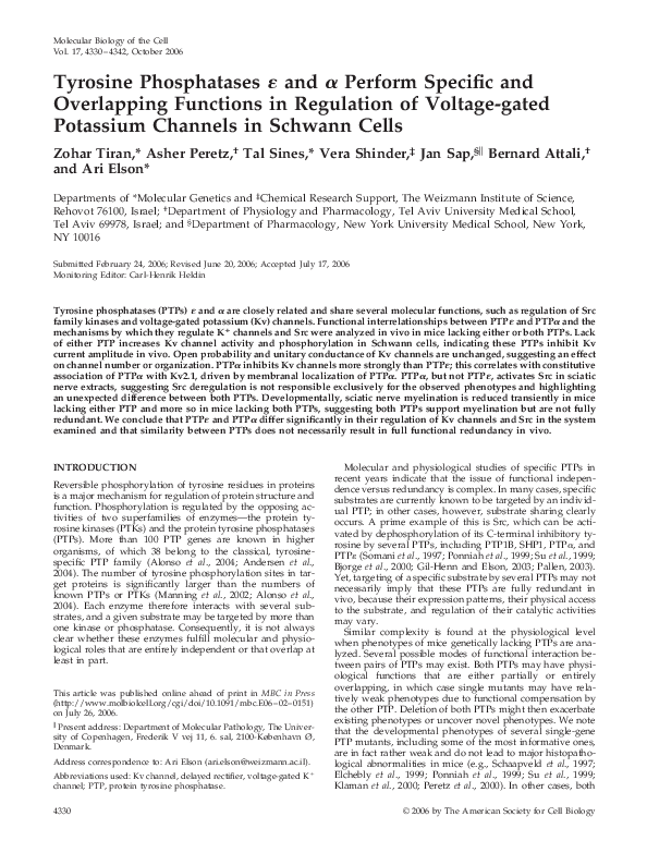 (PDF) Tyrosine phosphatases Epsilon and Alpha perform
