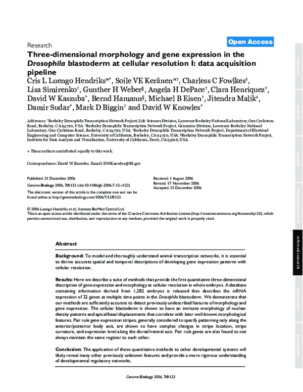 (PDF) Three-dimensional morphology and gene expression in the ...