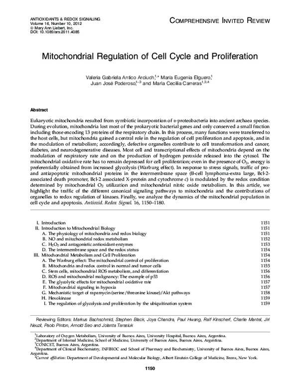 (PDF) Mitochondrial Regulation of Cell Cycle and Proliferation