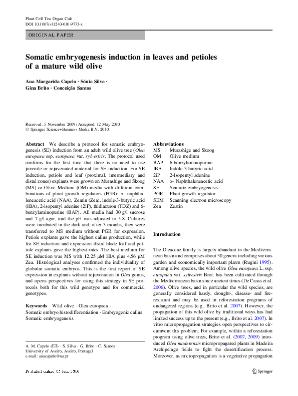 (PDF) Somatic embryogenesis induction in leaves and petioles of a ...