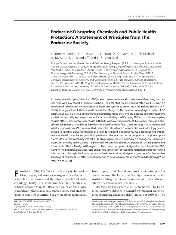 Endocrine disruptors essay picture