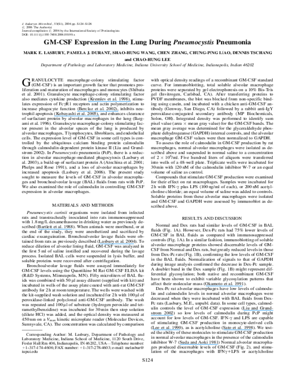 (PDF) GM-CSF Expression in the Lung During Pneumocystis Pneumonia
