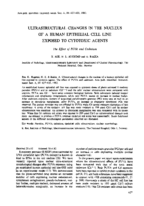 (PDF) Ultrastructural Changes in the Nucleus of a Human Epithelial Cell ...
