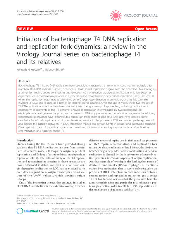 (PDF) Initiation of bacteriophage T4 DNA replication and replication ...