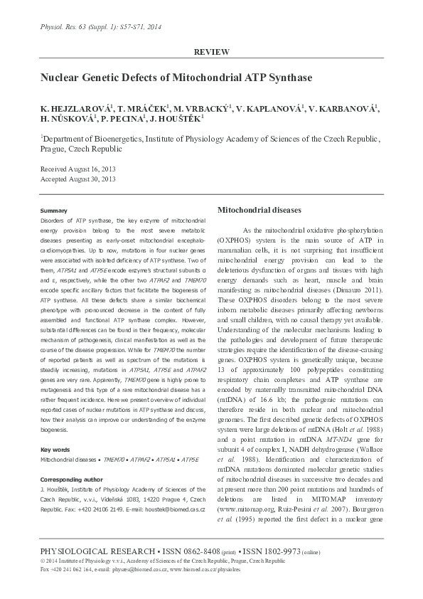 (PDF) Nuclear genetic defects of mitochondrial ATP synthase