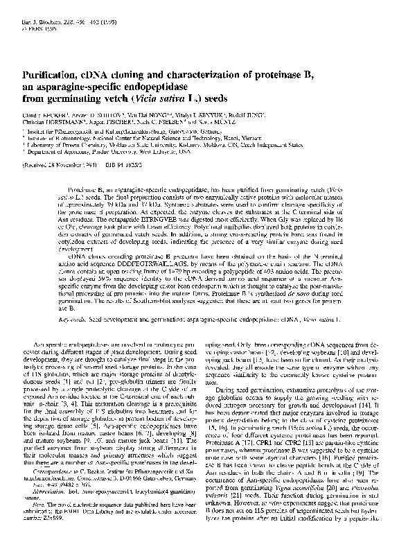 (PDF) Purification, cDNA Cloning and Characterization of Proteinase B ...