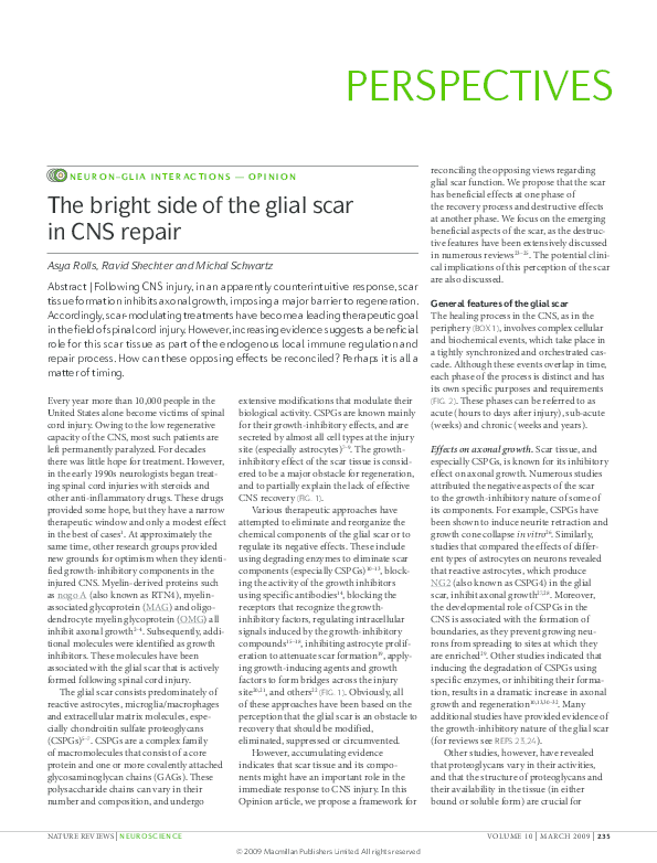 (PDF) The bright side of the glial scar in CNS repair